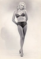 Joi Lansing